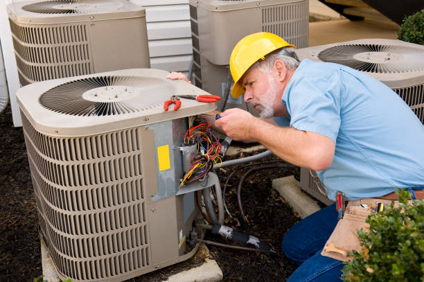 Best HVAC air duct cleaning  in Walcott, IA